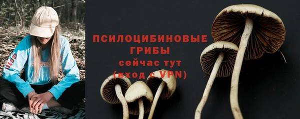 экстази Арсеньев