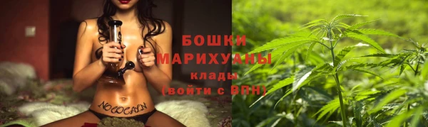 Альфа ПВП Аркадак