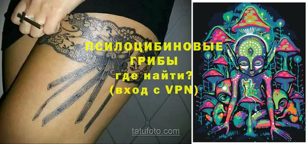 Альфа ПВП Аркадак