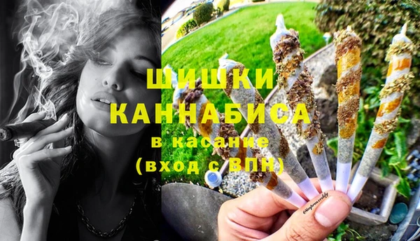 Альфа ПВП Аркадак