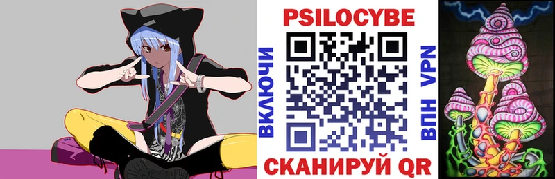 Купить где  Донской  Галлюциногенные грибы Magic Shrooms 