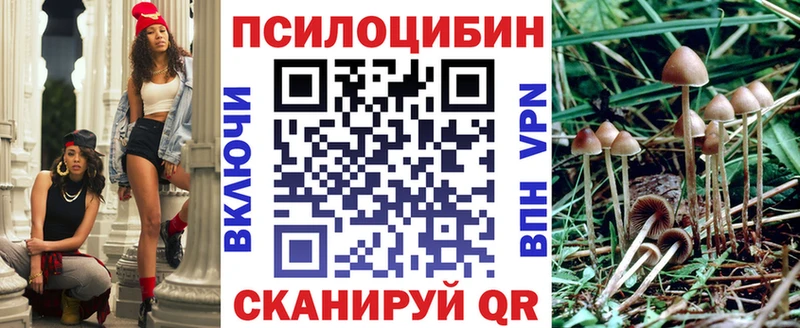 Псилоцибиновые грибы Psilocybe Донской